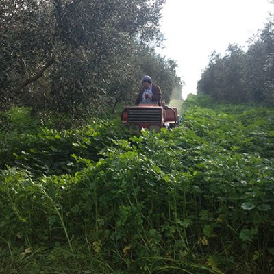 1 Antes de pasar la trocedora