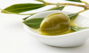 Aceituna cornicabra Aceituna cornicabra