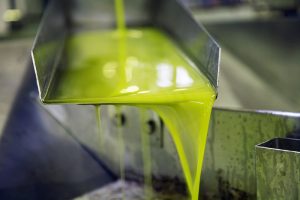 Aceite de oliva virgen extra sin filtrar