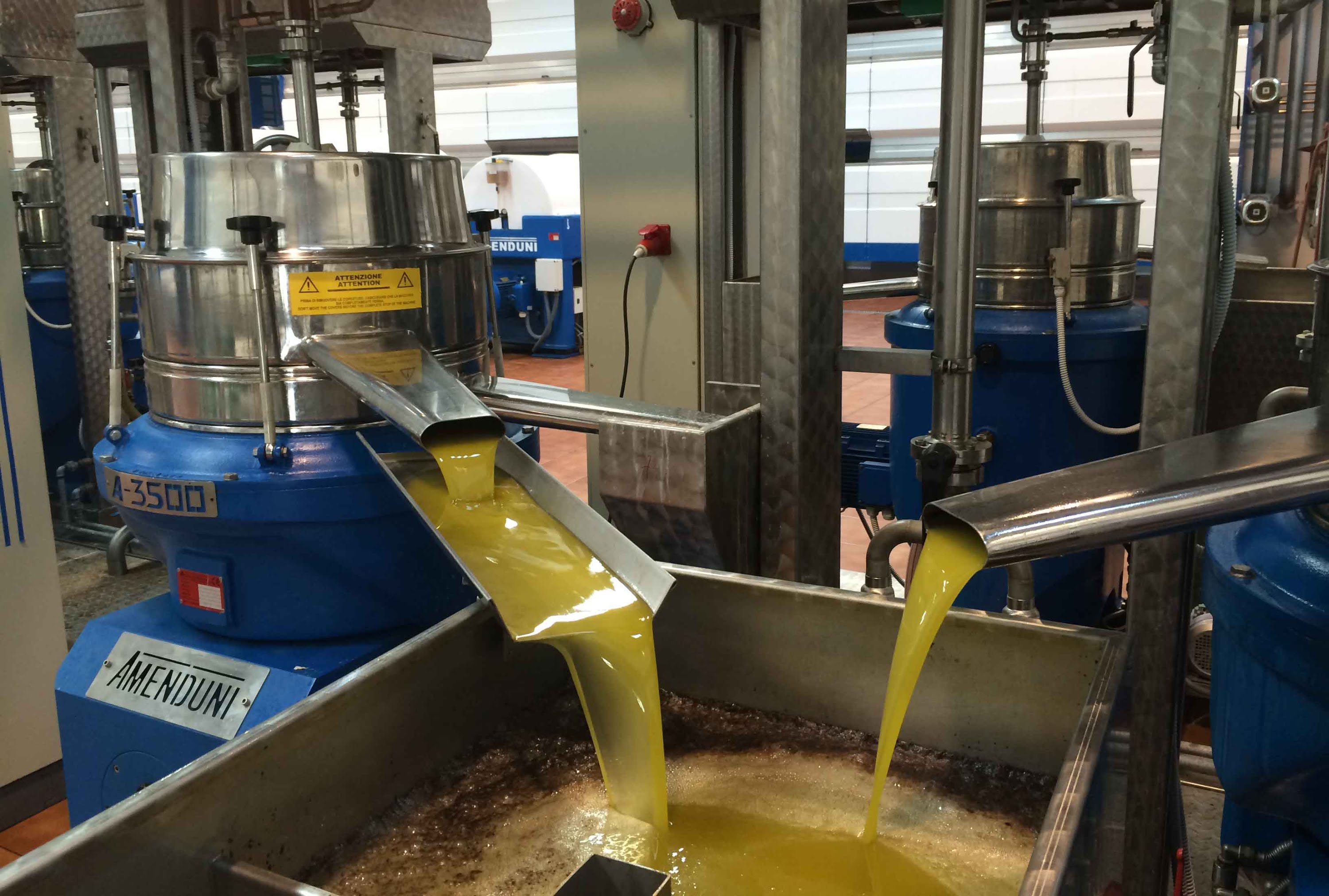 La producción de aceite de oliva la antigua maquinaria mecánica