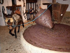 Funcionamiento de la almazara por tracción animal