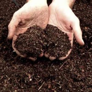 El orujo como compost