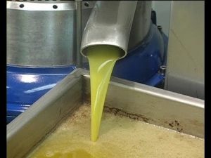 Aceite de oliva virgen extra saliendo del decánter