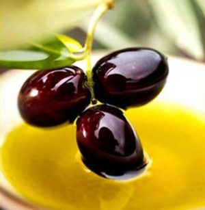 Aceitunas de variedad cornicabra Aceitunas de variedad cornicabra