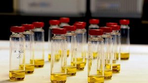 Probetas para determinar la calidad del aceite de oliva
