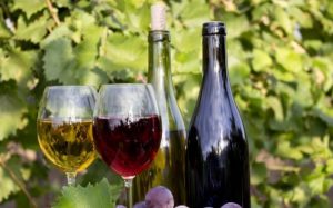 Los romanos, para la elaboracion de vinos, empleaban a los aceites como tutores